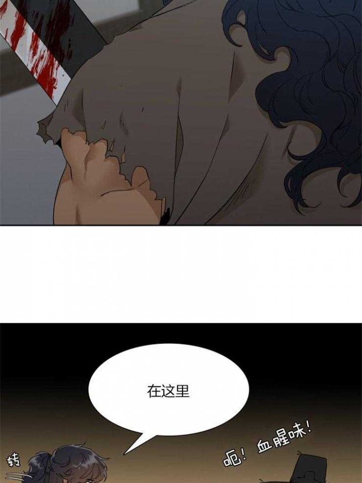 21.jpg