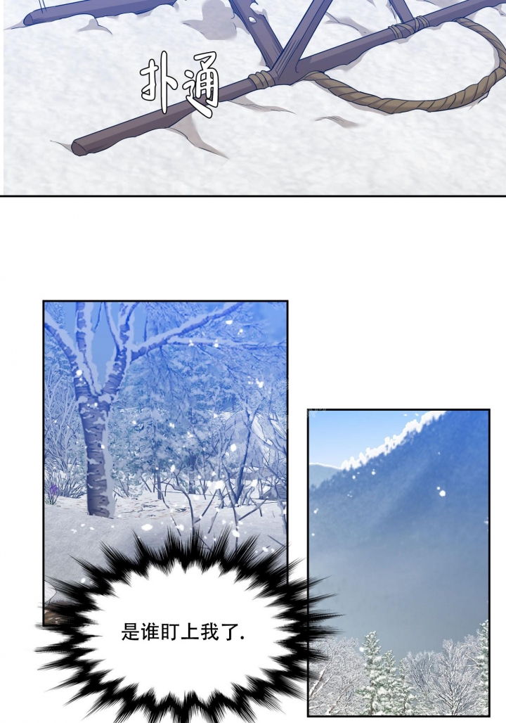 25.jpg