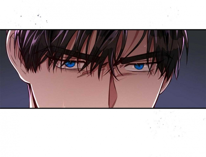 81