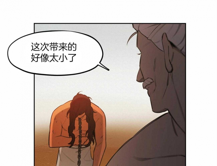 36.jpg