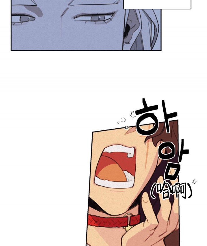 53