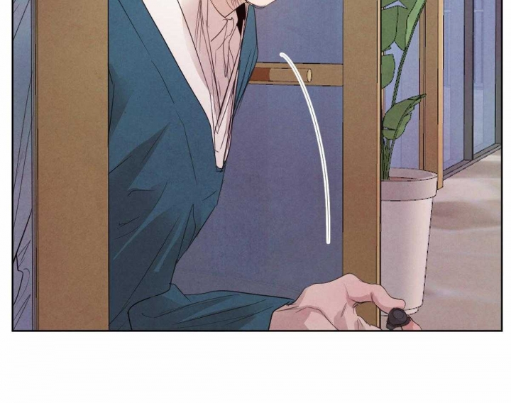 81