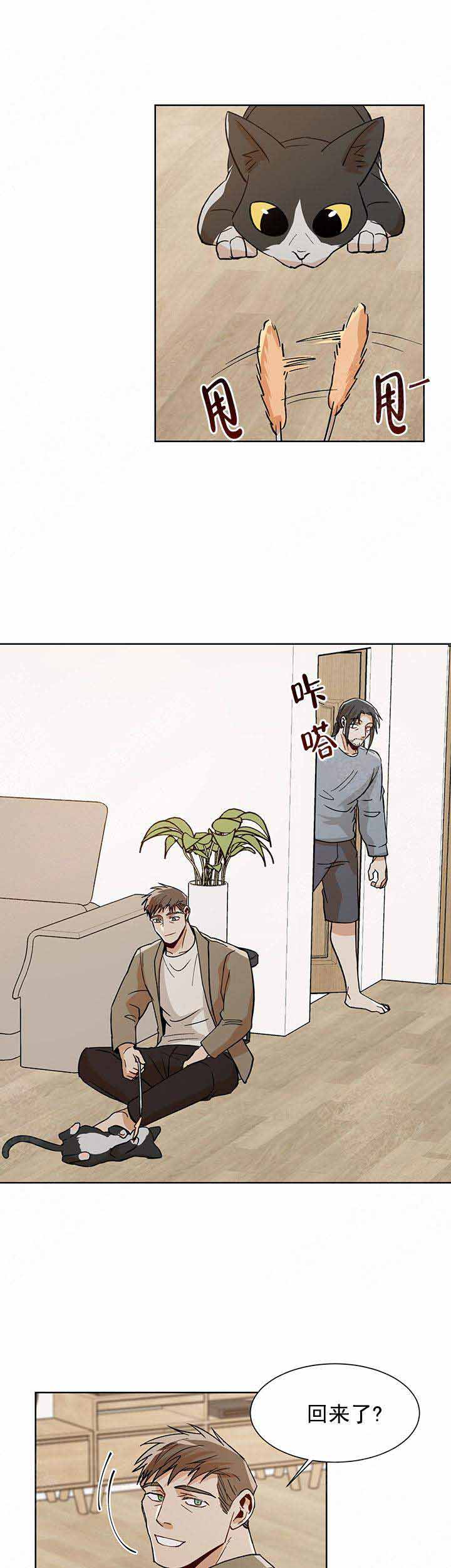 17.jpg