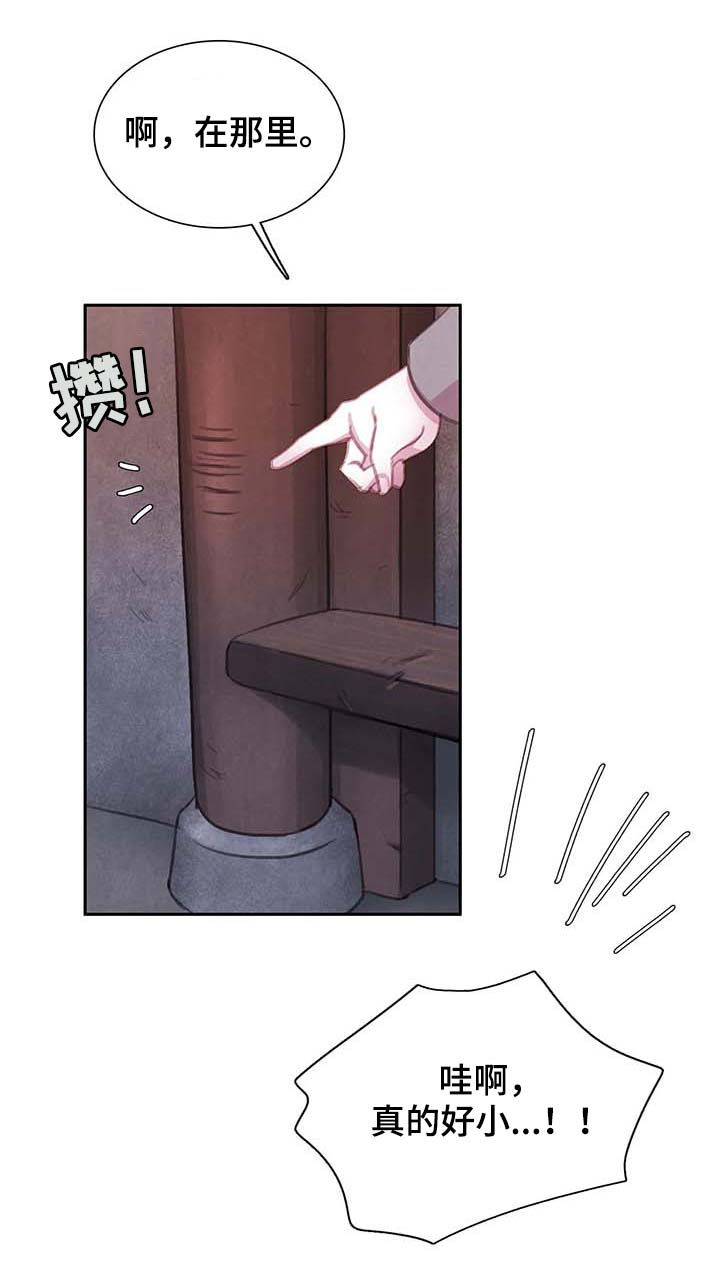 23.jpg