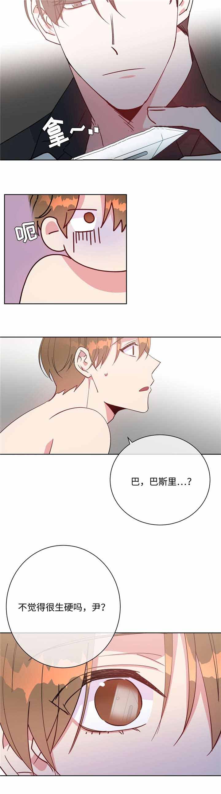8.jpg