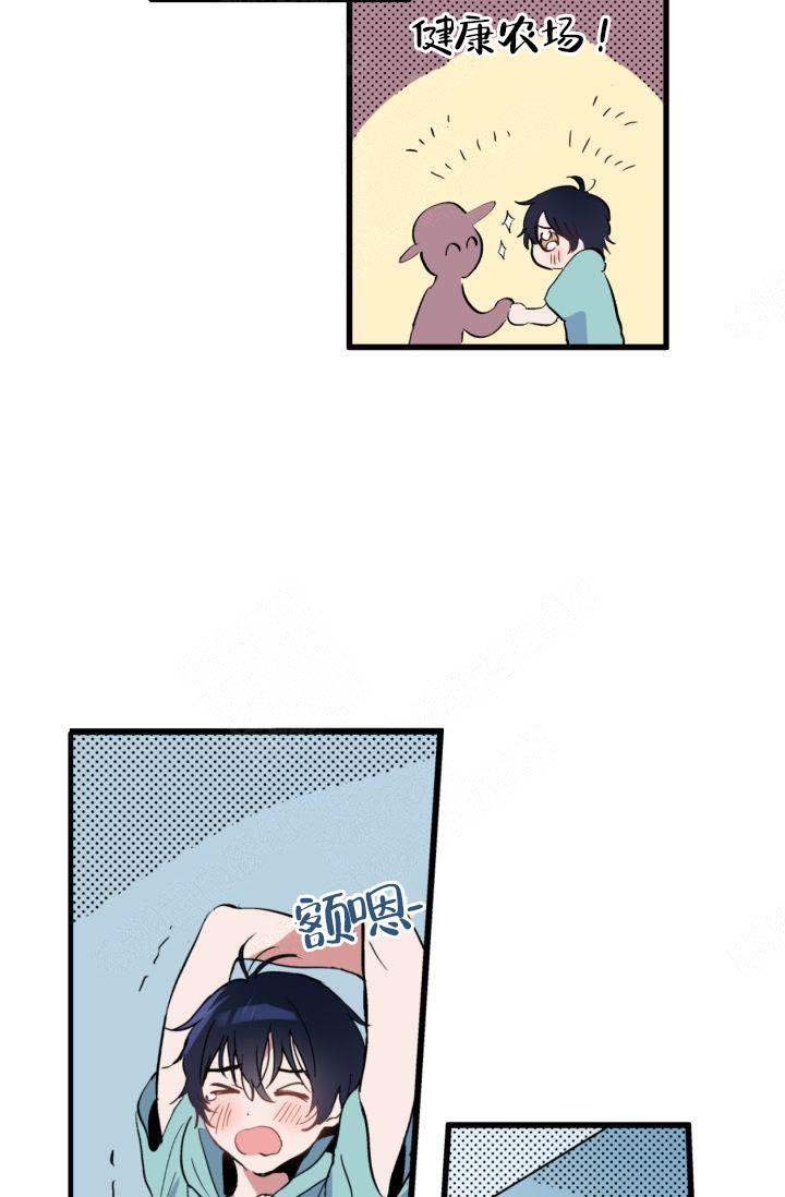 17.jpg