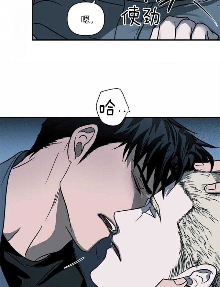 26.jpg
