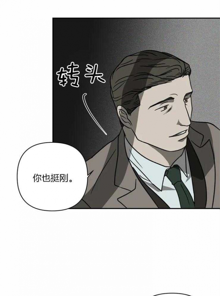 25.jpg
