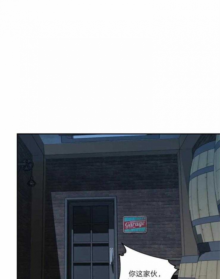 13.jpg