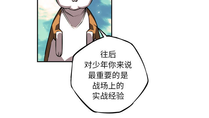 43