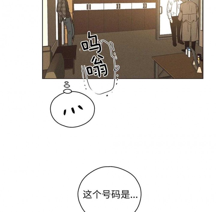 58.jpg