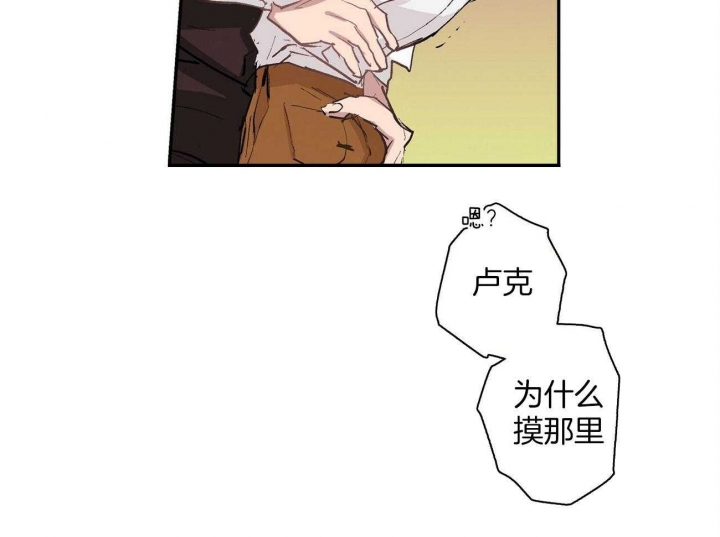 31.jpg