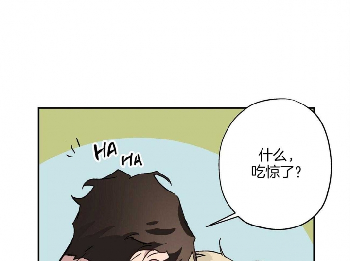 33.jpg