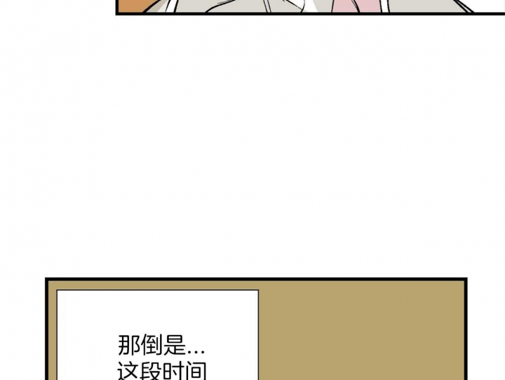 47.jpg