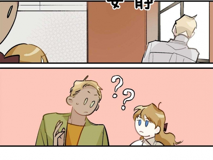 37.jpg