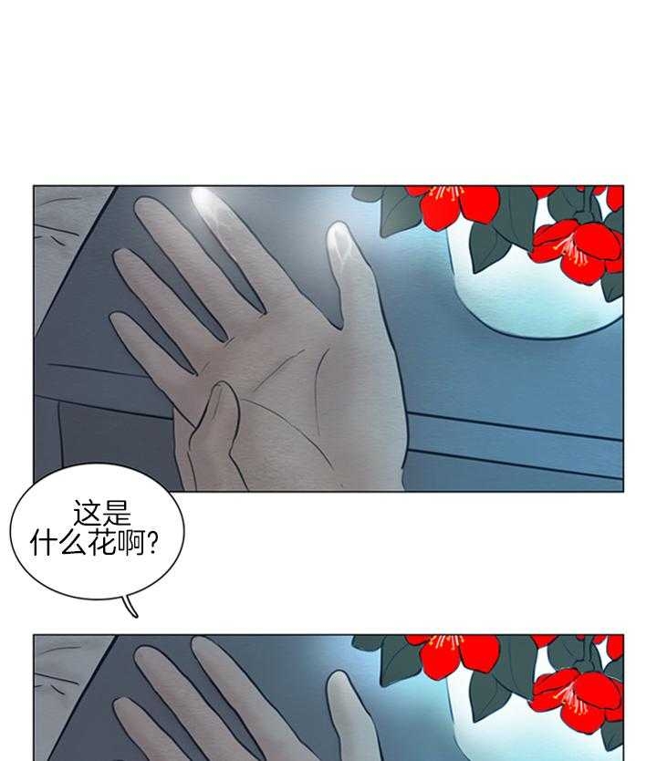 35.jpg