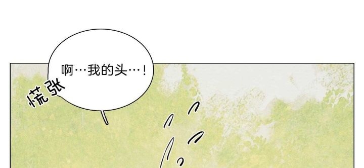 95.jpg