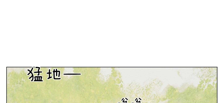 81