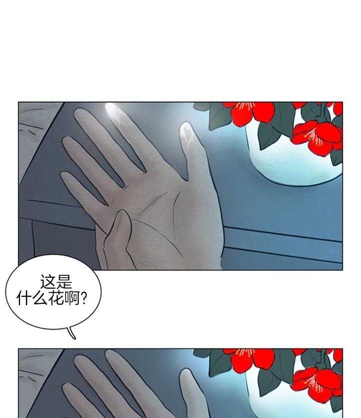 60.jpg