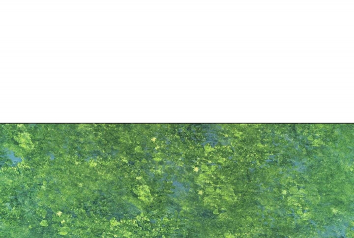 91.jpg