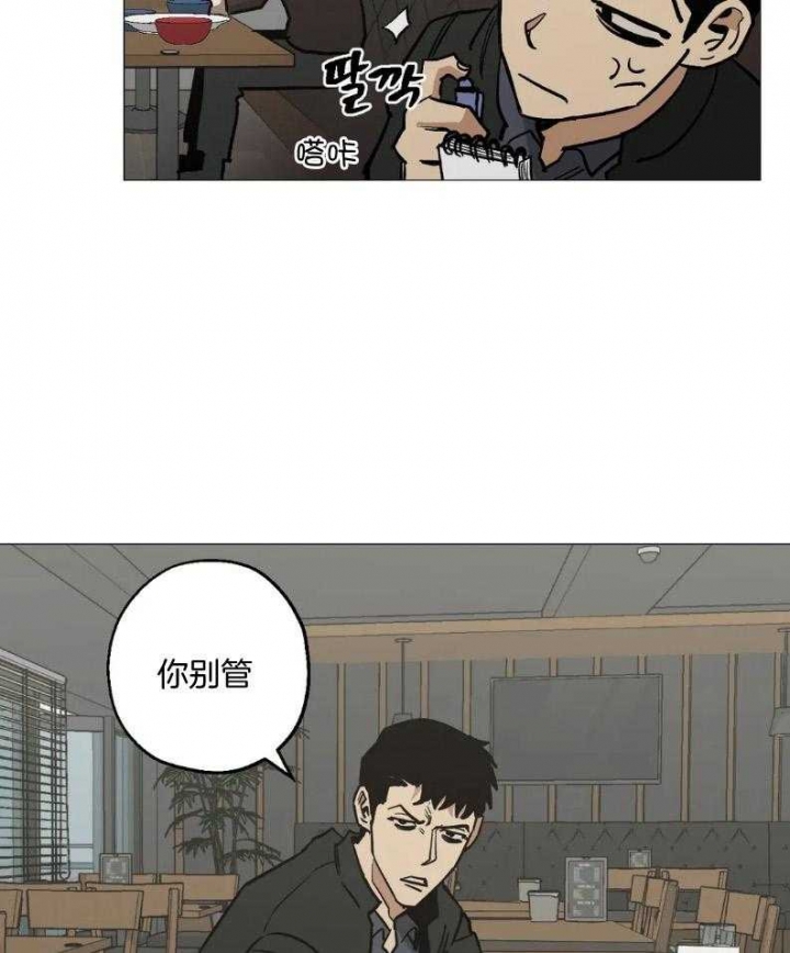 28.jpg