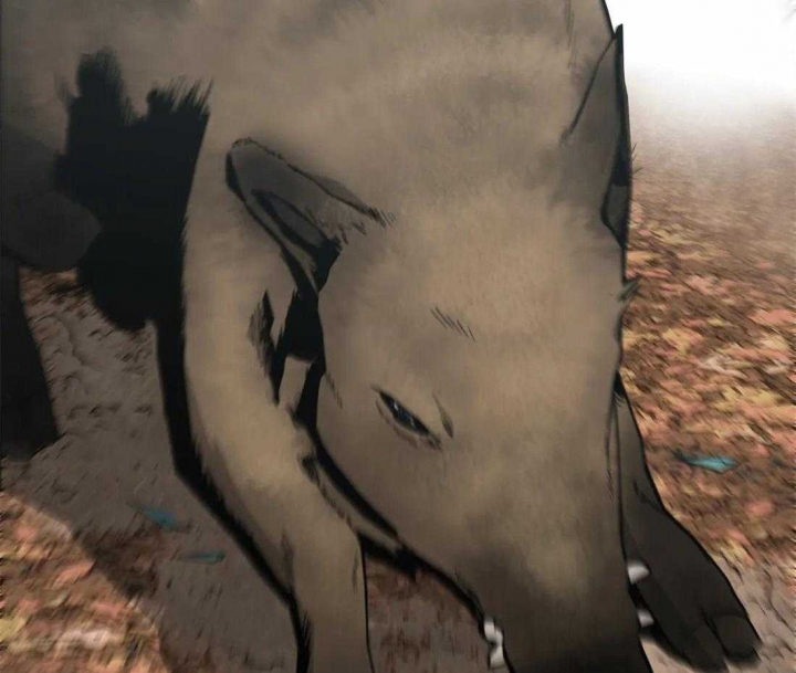 33.jpg