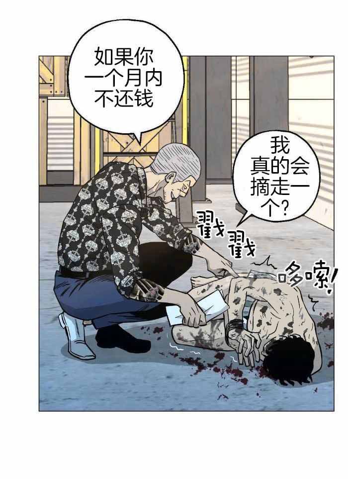 33