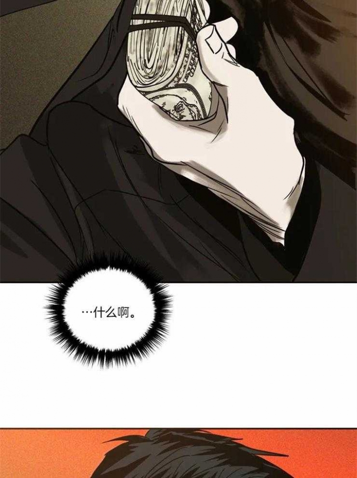 26.jpg