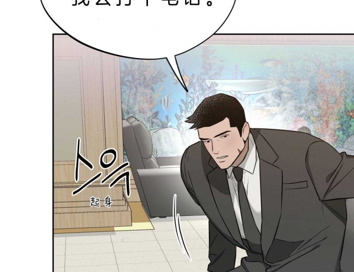 49.jpg