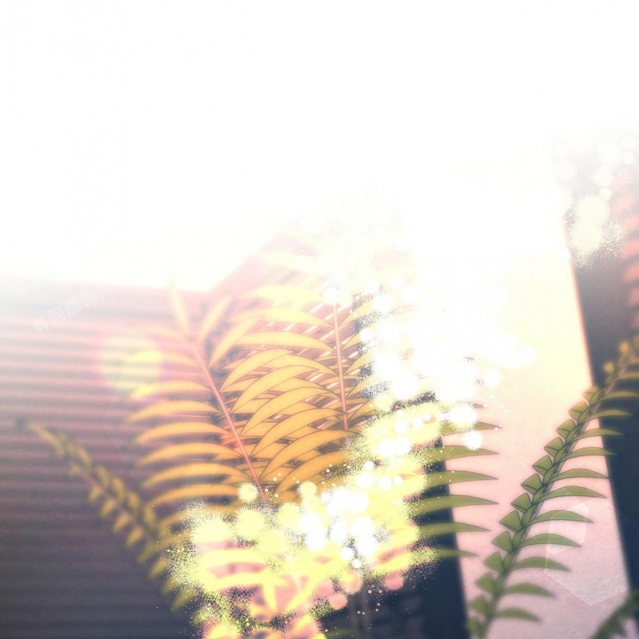 57.jpg