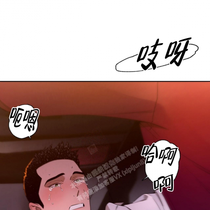 51.jpg