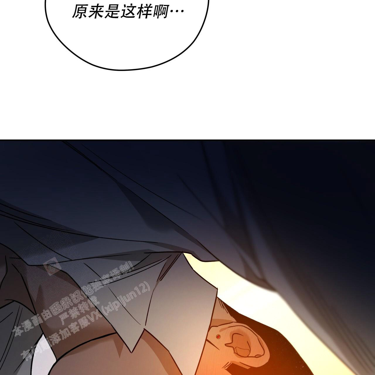 48.jpg