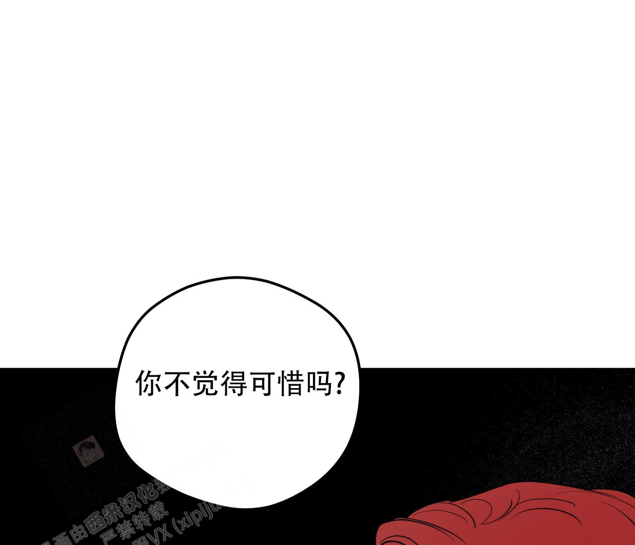 97.jpg