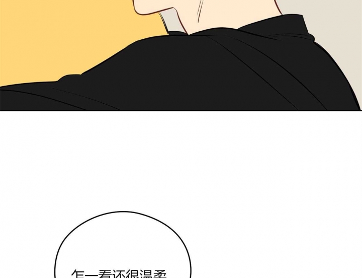 81.jpg