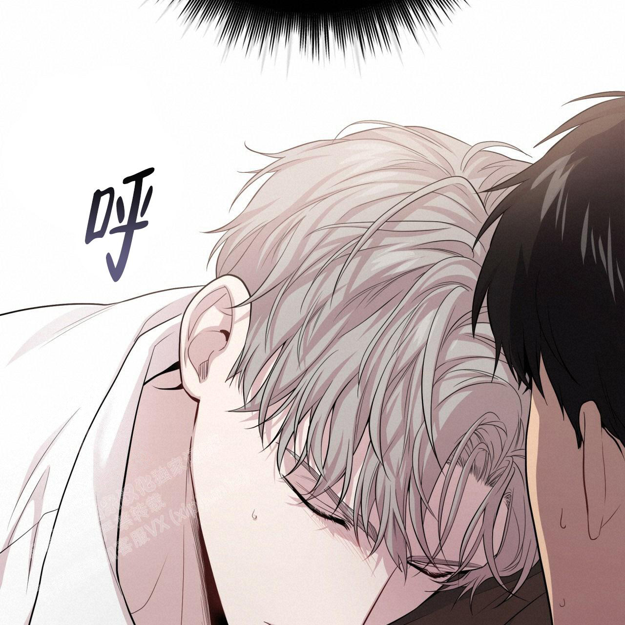 51
