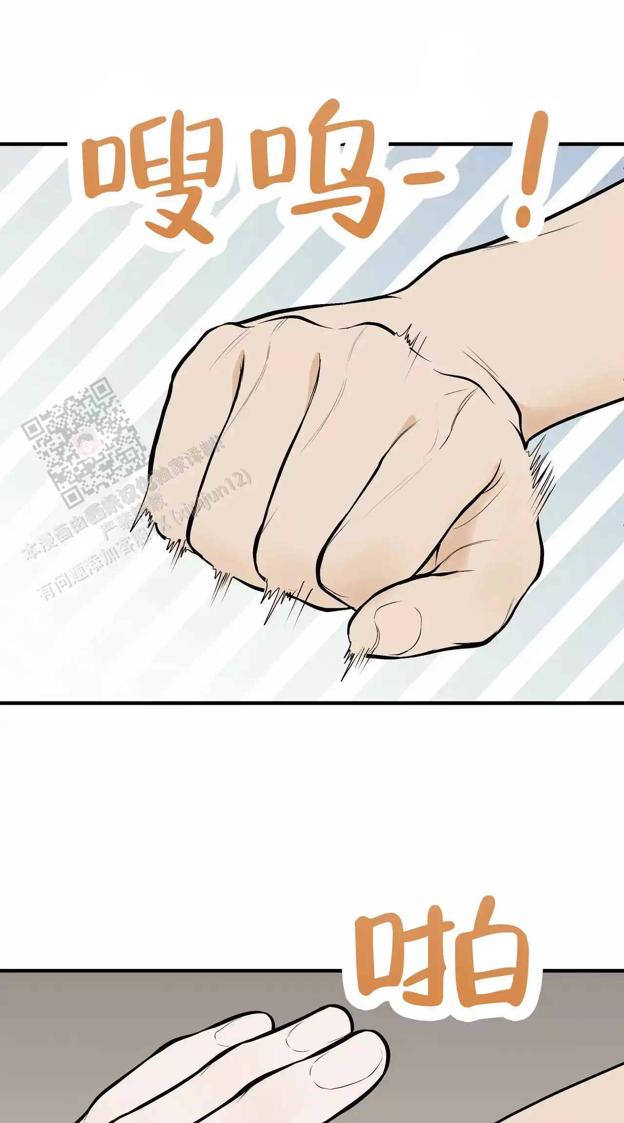 17.jpg