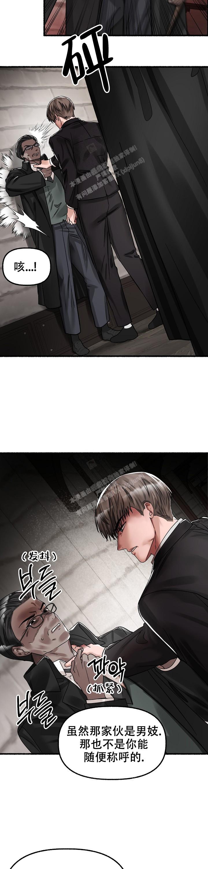 11.jpg