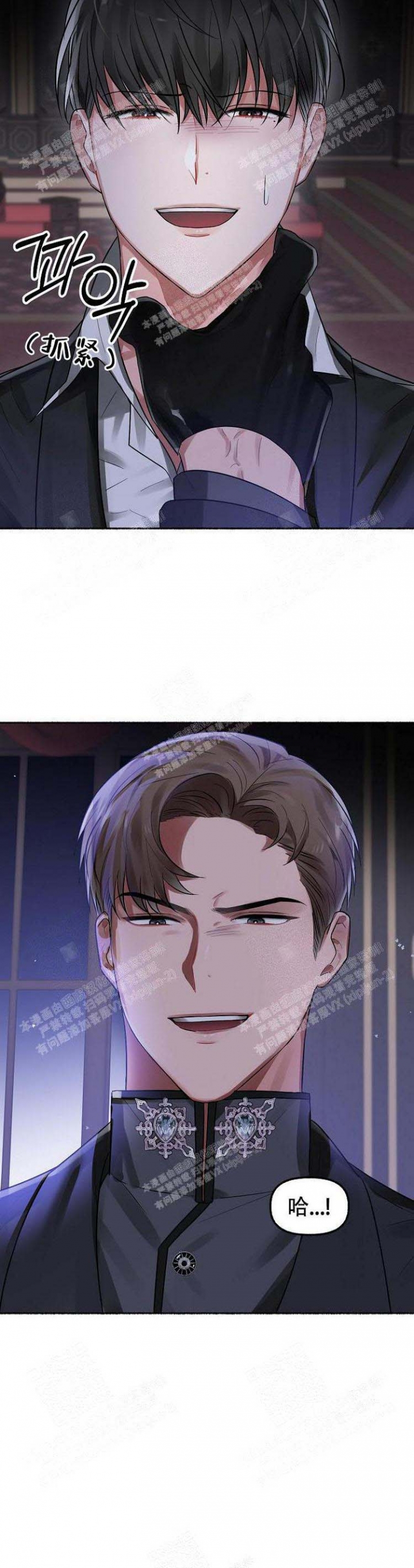 4.jpg