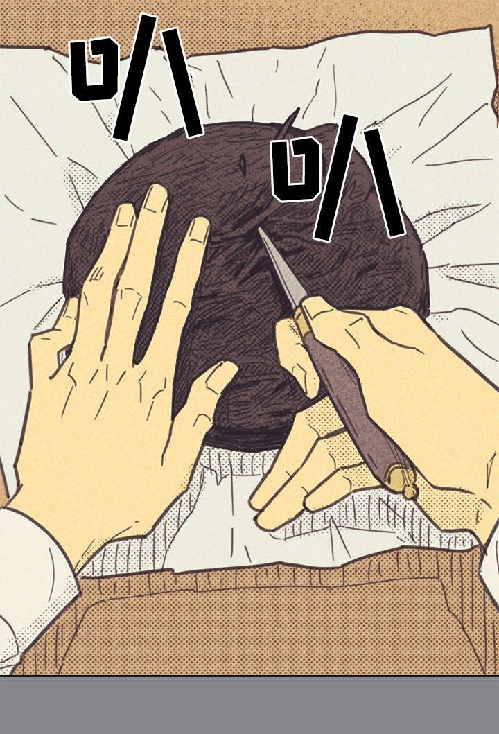 25.jpg