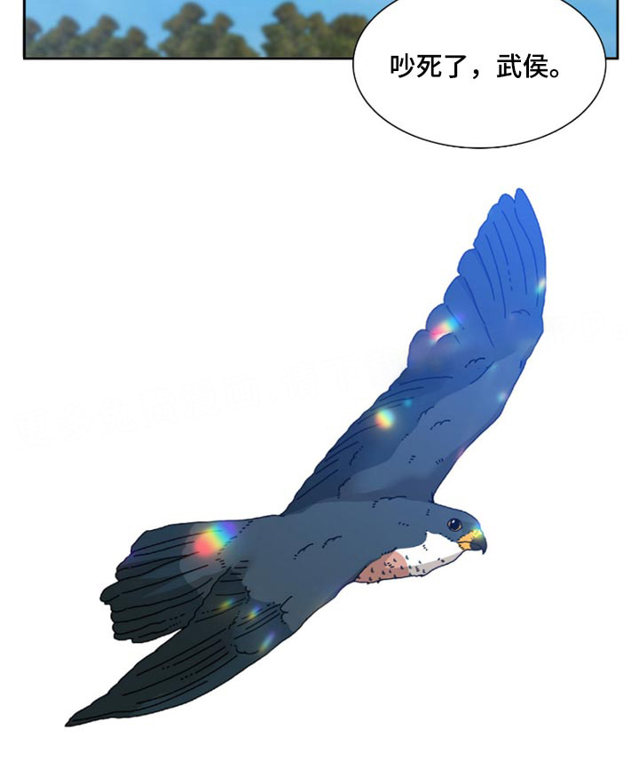 21.jpg