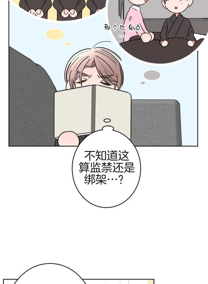 26.jpg