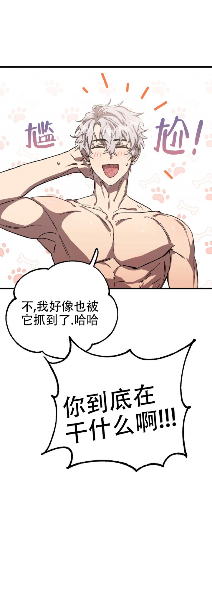 /template/pc/baozi/image/load.gif