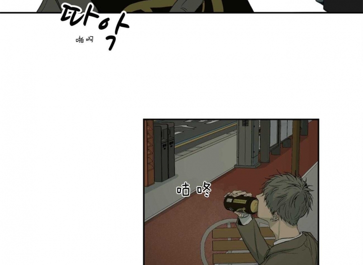 48.jpg