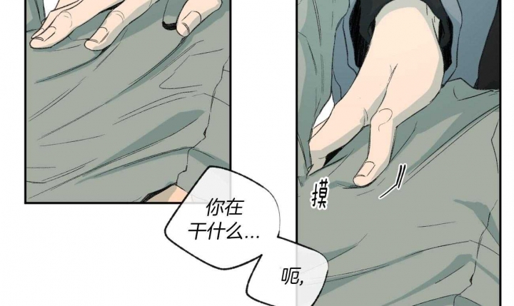 35