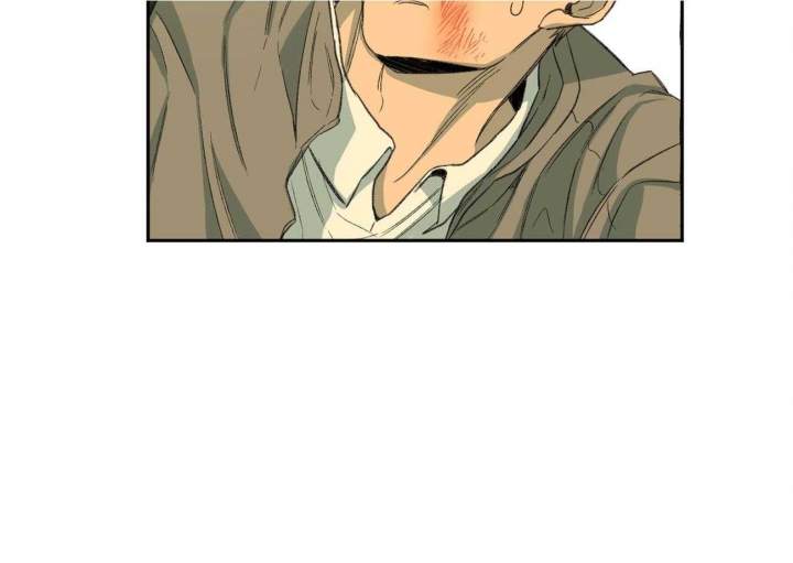 54.jpg