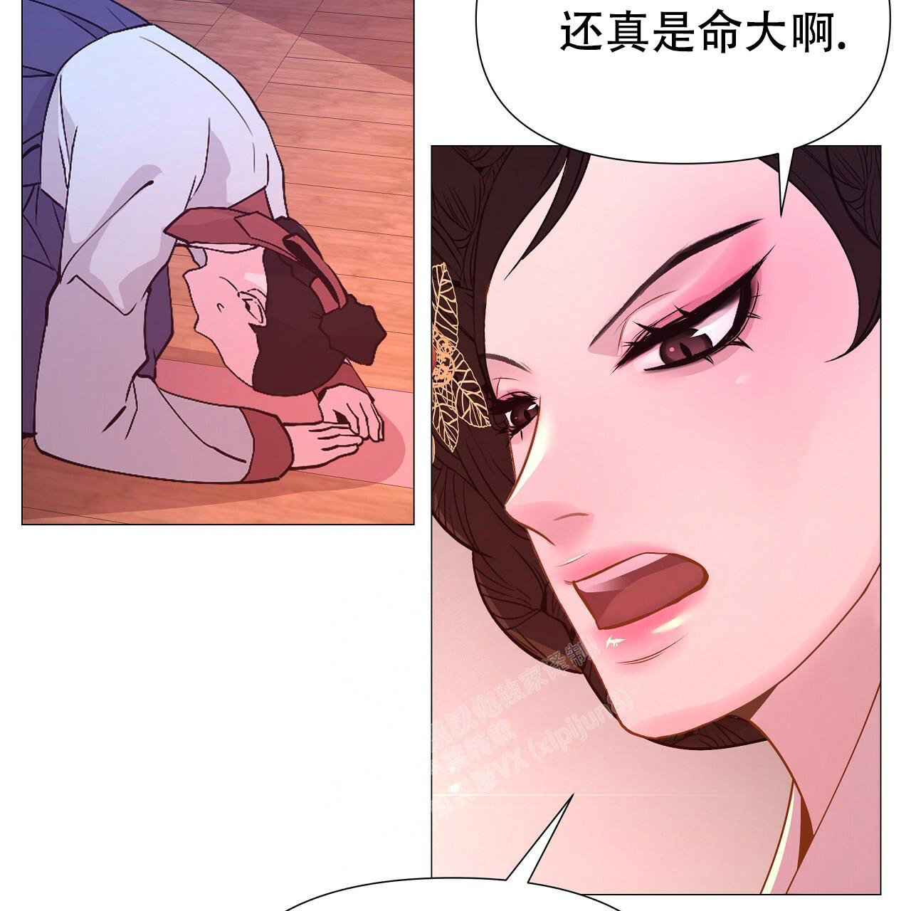 31.jpg