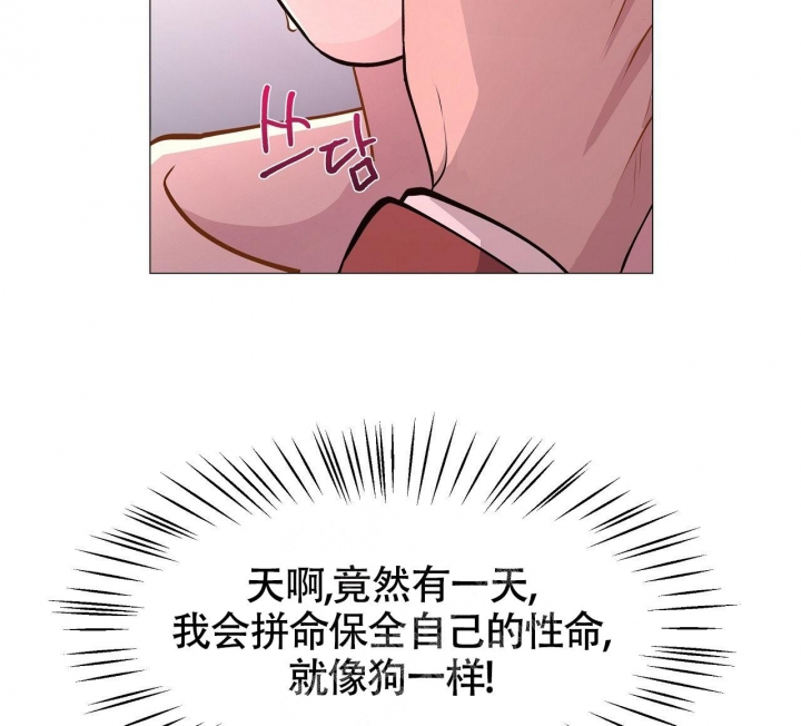 81.jpg