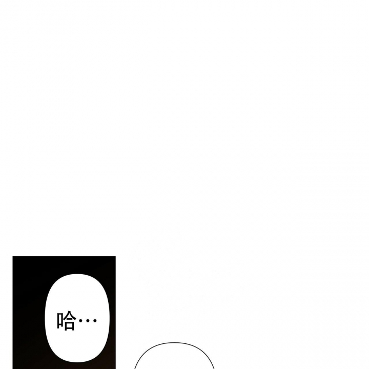 50.jpg