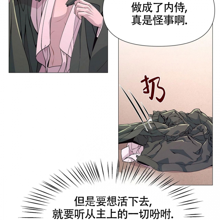 47.jpg