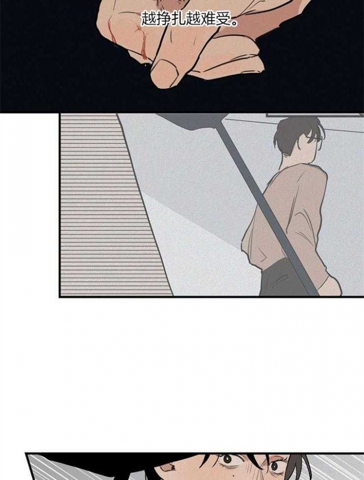 33.jpg